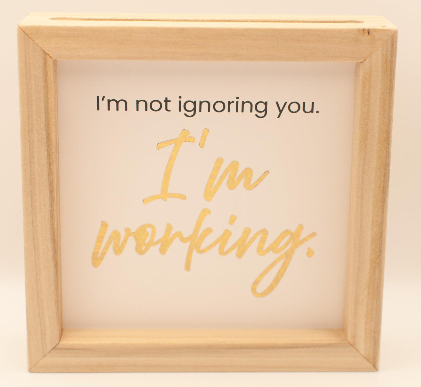 LNTS - Series 3 - “I'm Not Ignoring You. I'm Working.”
