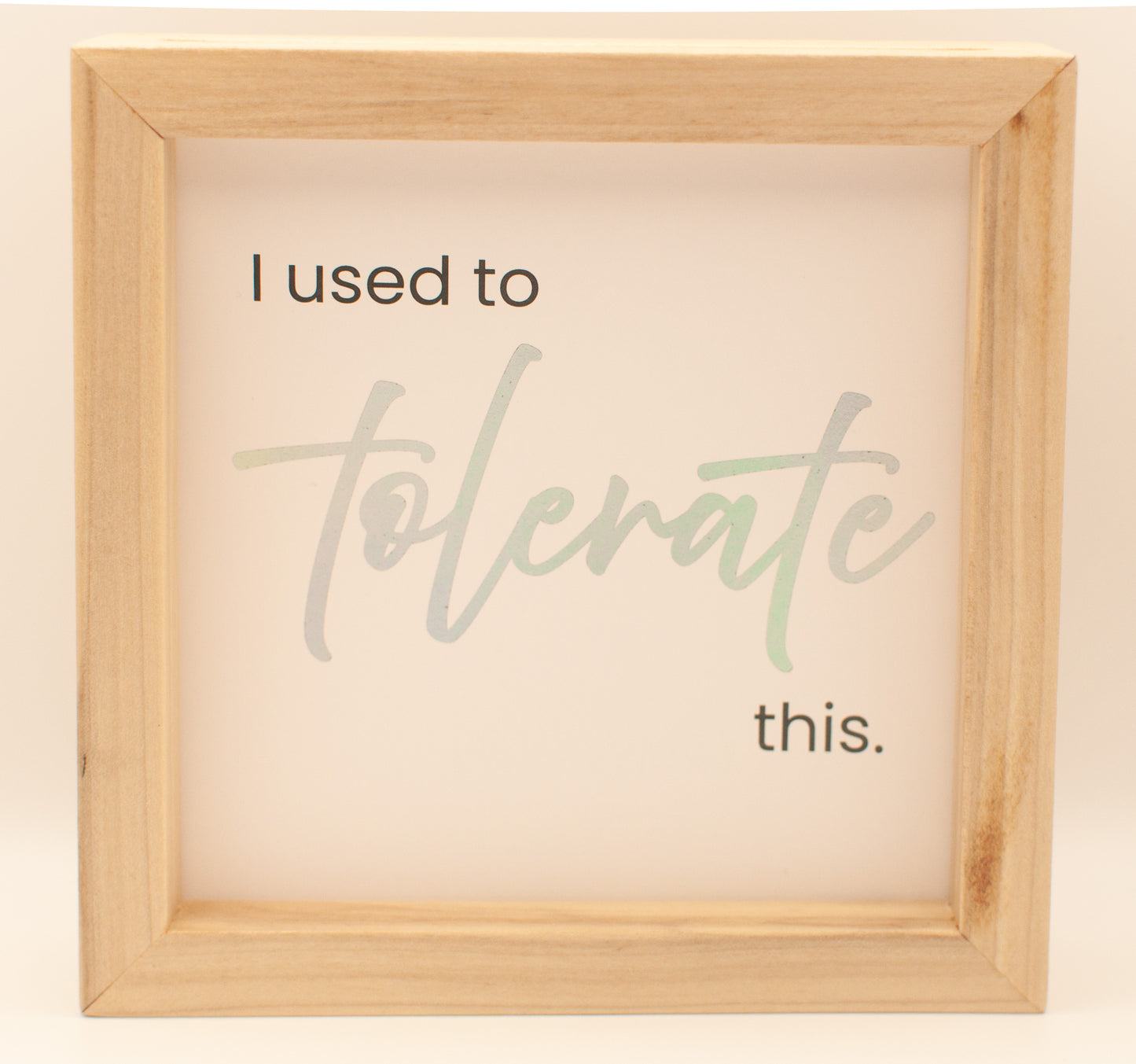 LNTS - Series 2 - “I Used to Tolerate This”