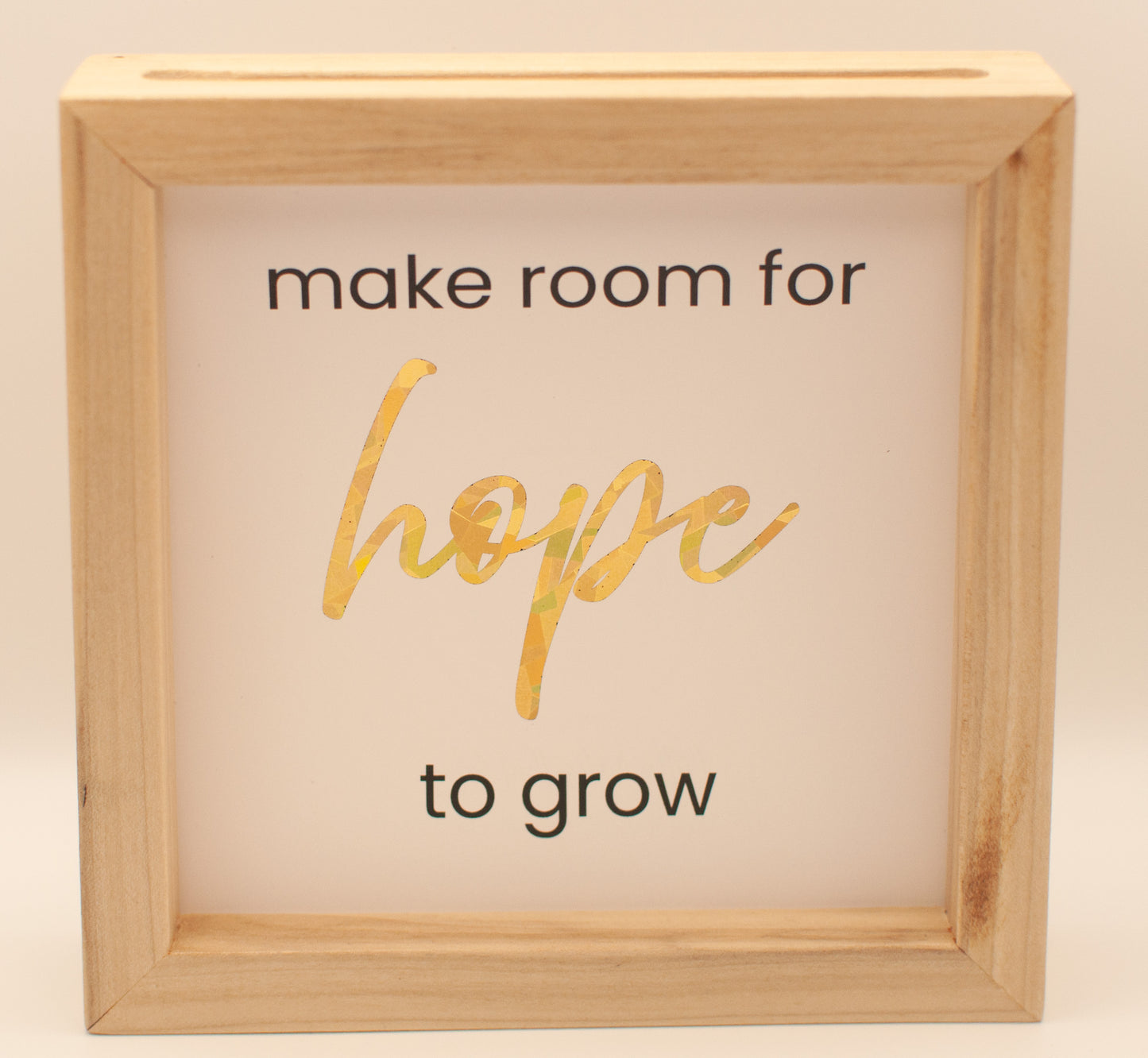 LNTS - Series 1 - “Make Room for Hope to Grow”